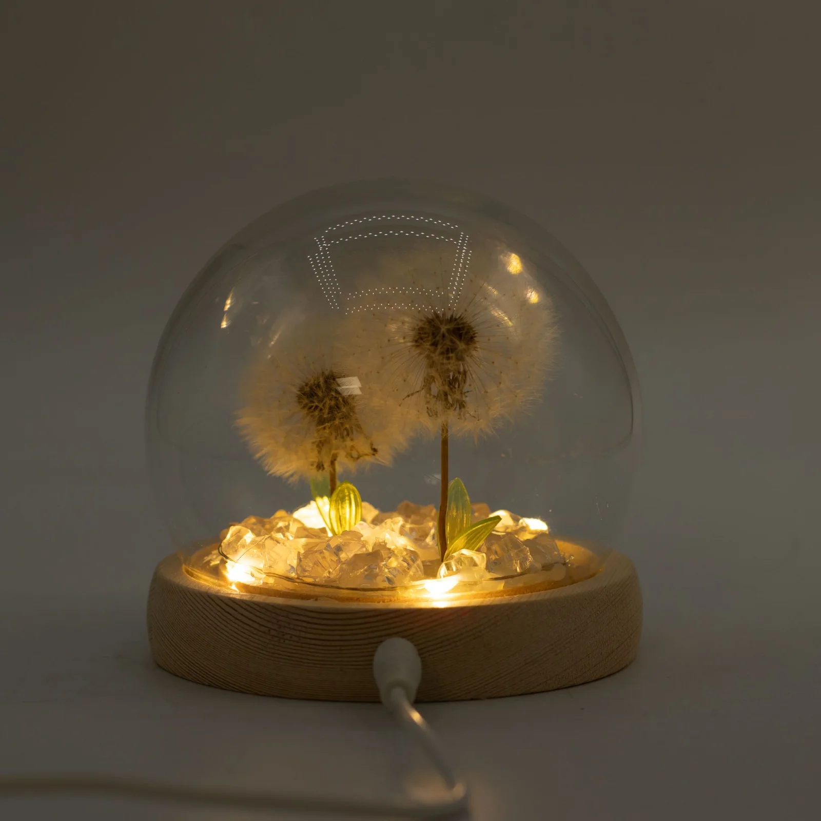 Floral Glow – LED kupola, 2 púpavy, USB – fotka 5