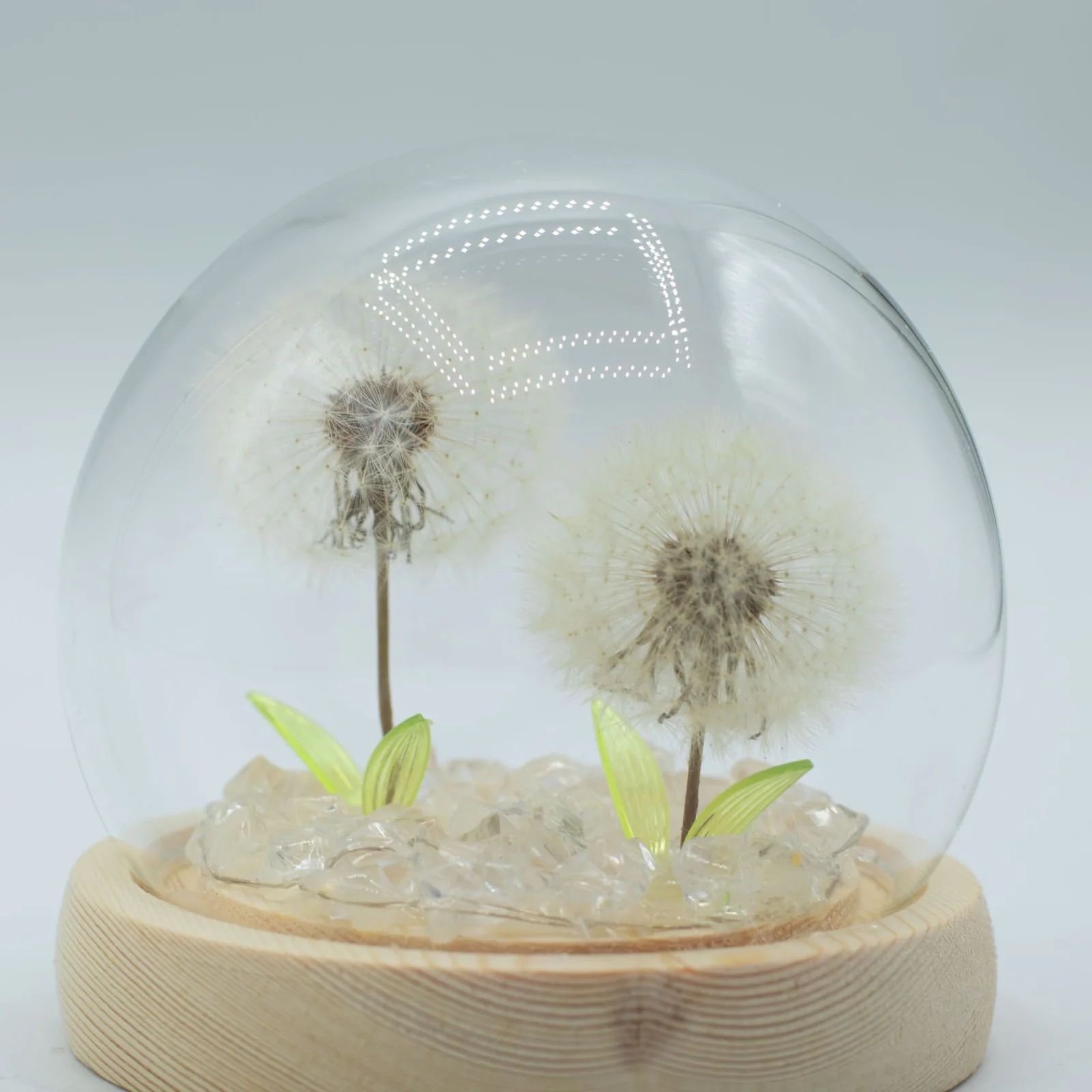 Floral Glow – LED kupola, 2 púpavy, USB – fotka 3