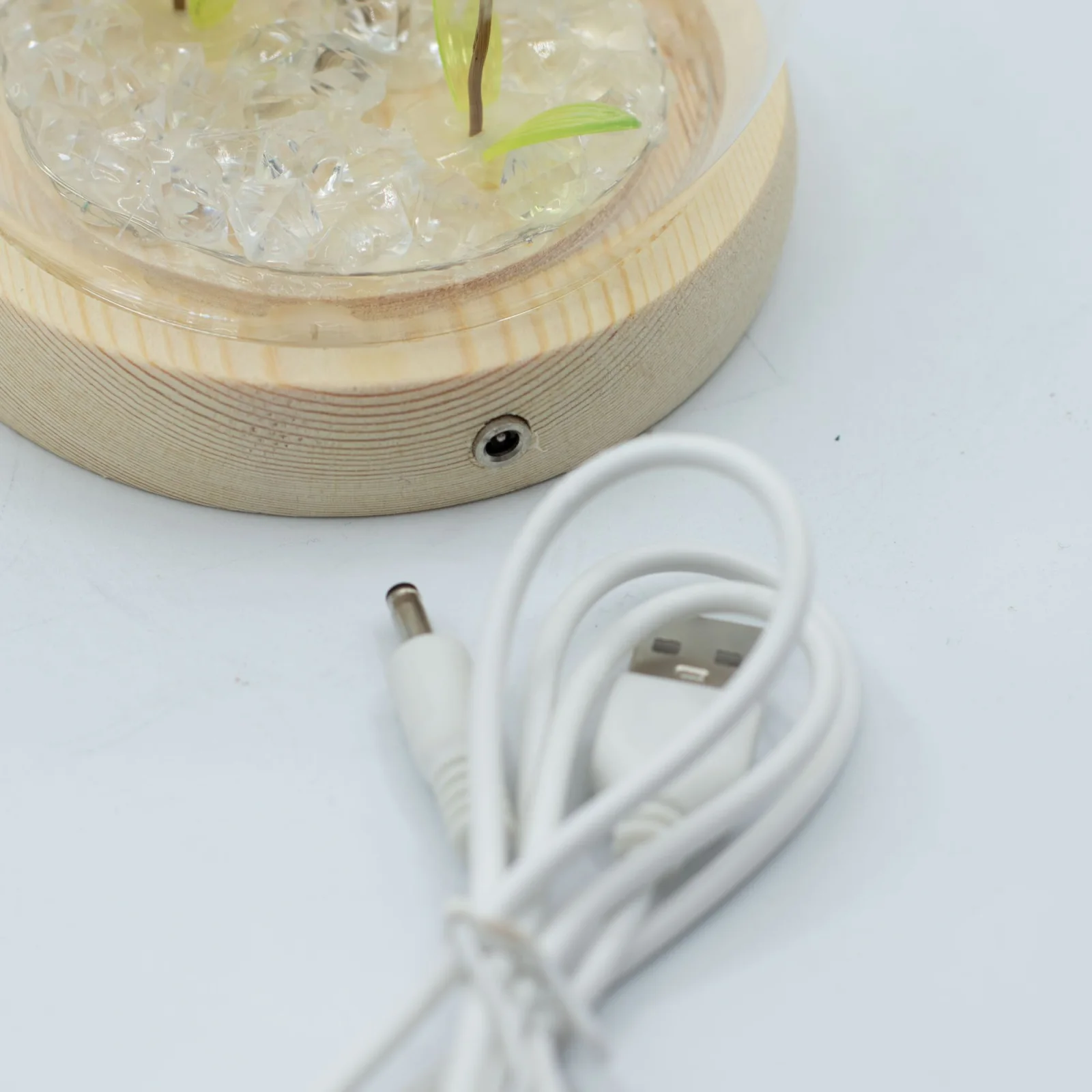 Floral Glow – LED kupola, 2 púpavy, USB – fotka 4