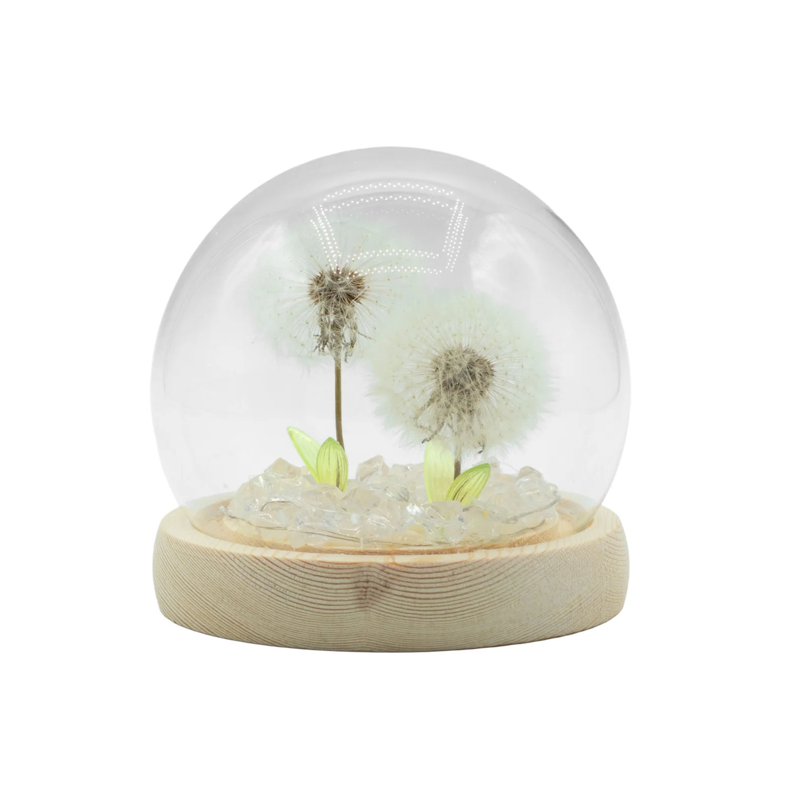 Floral Glow – LED kupola, 2 púpavy, USB – fotka 2