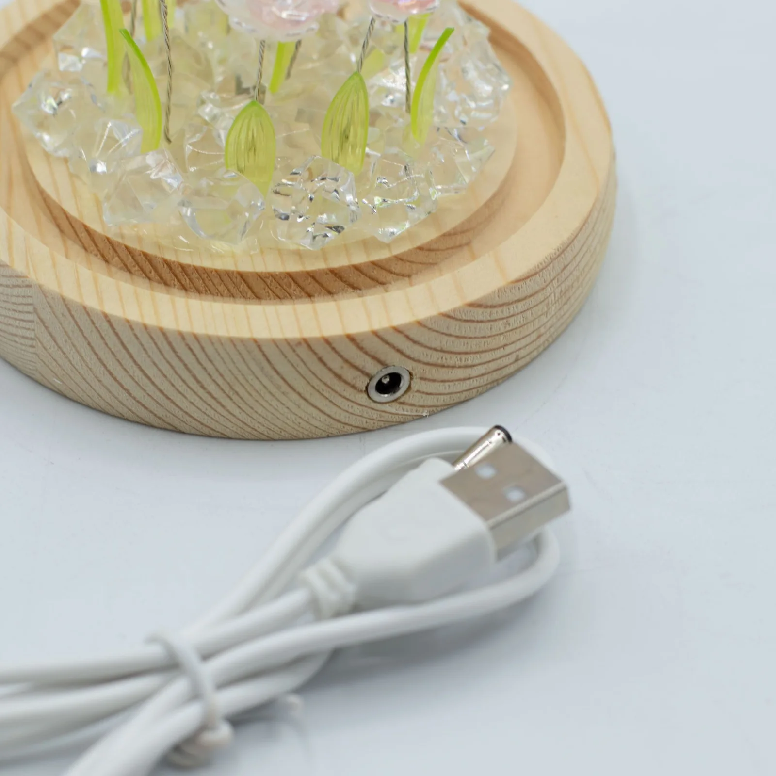 Floral Glow – LED kupola, 10 ružových ruží, USB – fotka 5