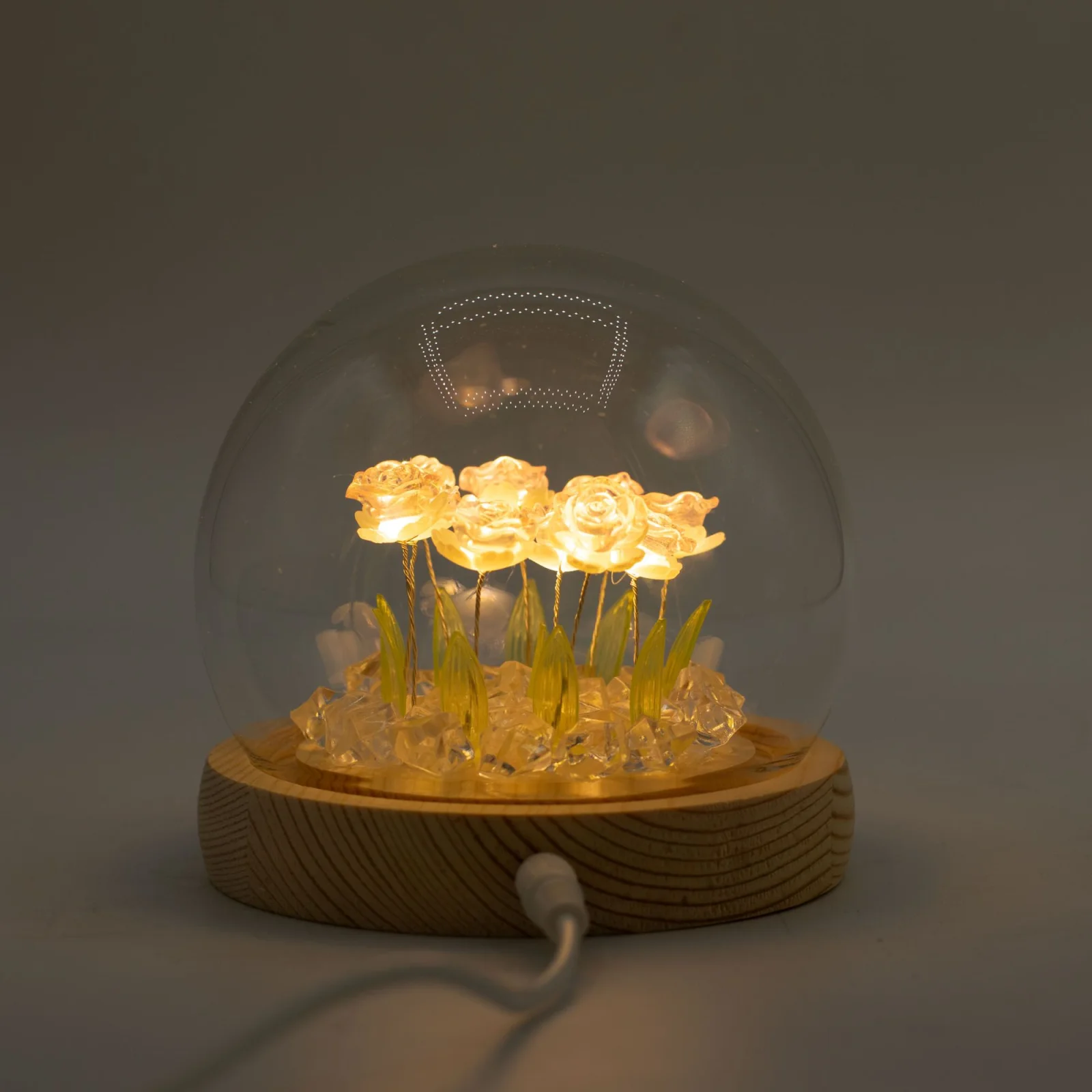 Floral Glow – LED kupola, 10 ružových ruží, USB – fotka 1