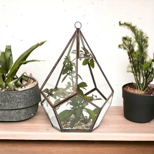 Sklenené terárium – veľká pyramída – fotka 5