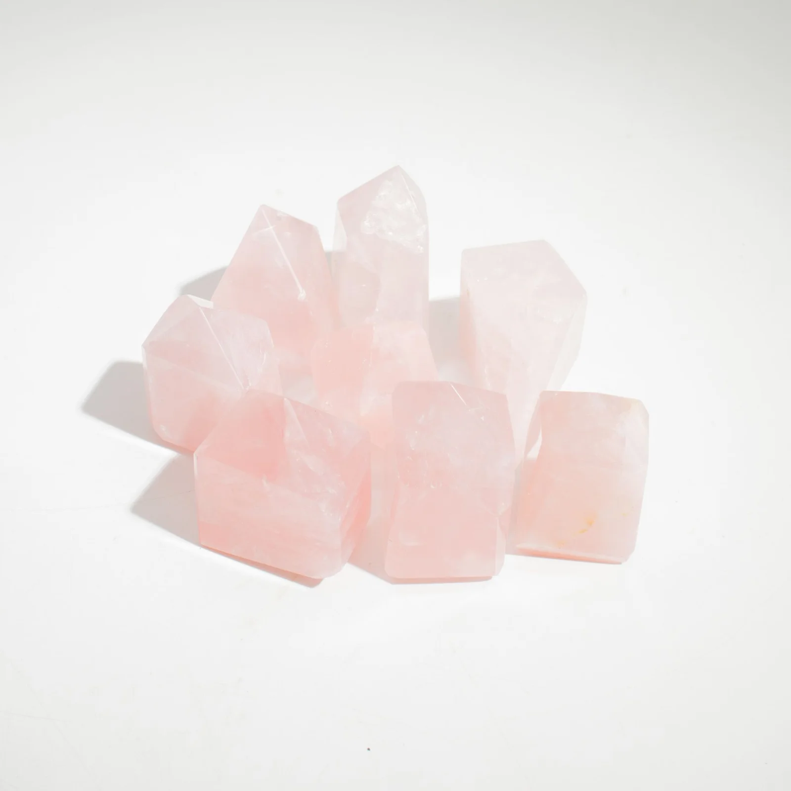 Špice z indického ruženínu – balenie 500 g (cca 8 ks) – fotka 3