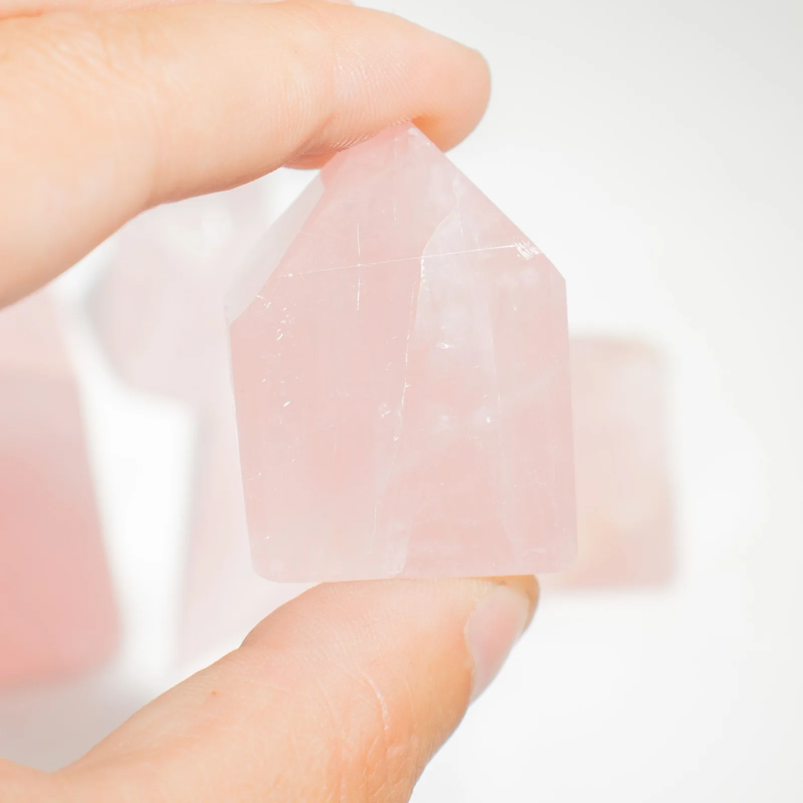 Špice z indického ruženínu – balenie 500 g (cca 8 ks) – fotka 4