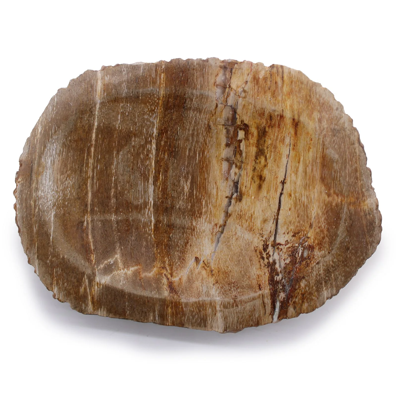 Mydelnička zo skameneného dreva – hnedá, 13 × 10 cm – fotka 2