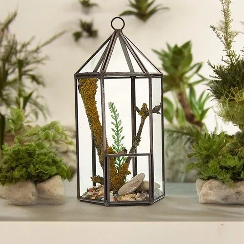Sklenené terárium – lampáš – fotka 1