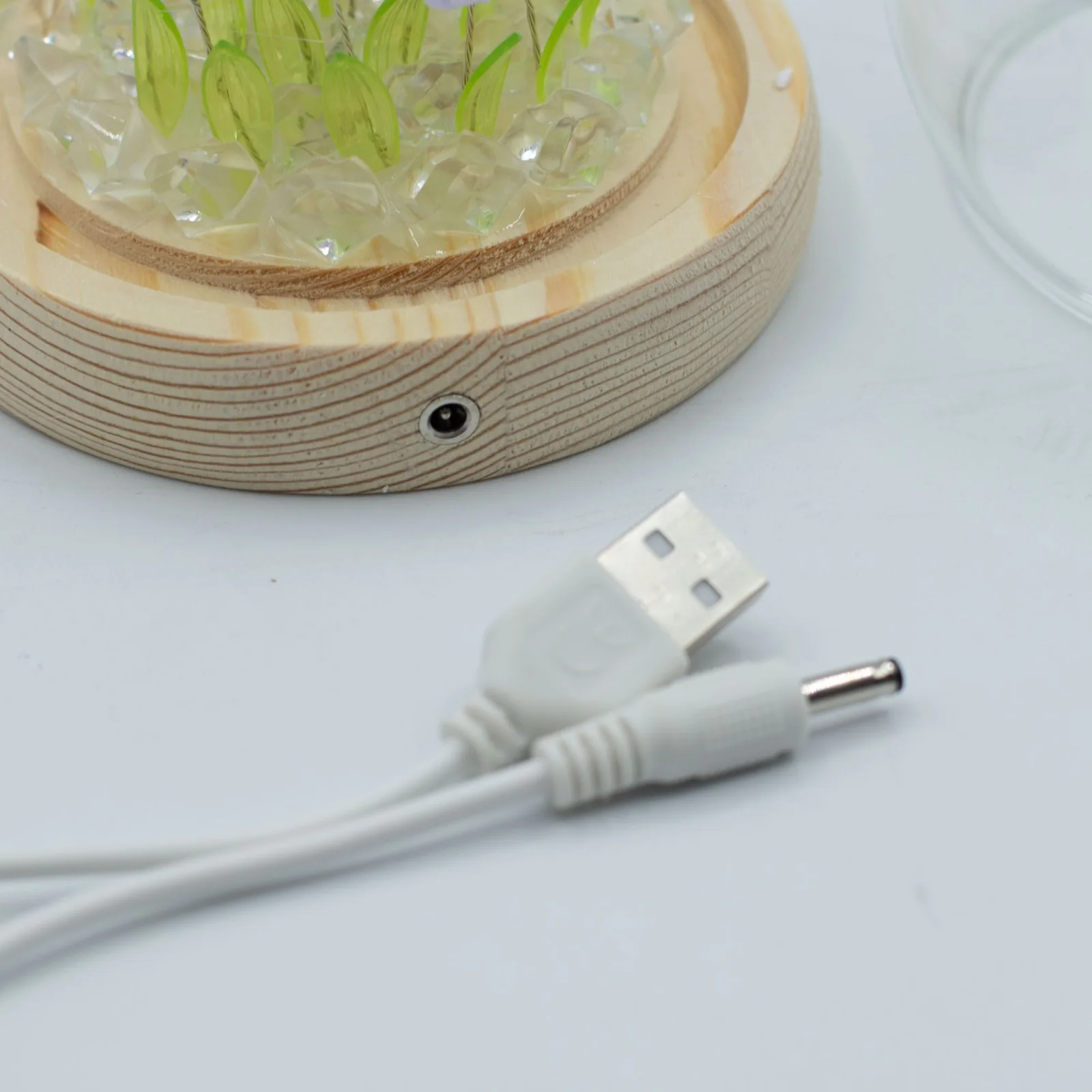 Floral Glow – LED kupola, 20 tulipánov, USB – fotka 3