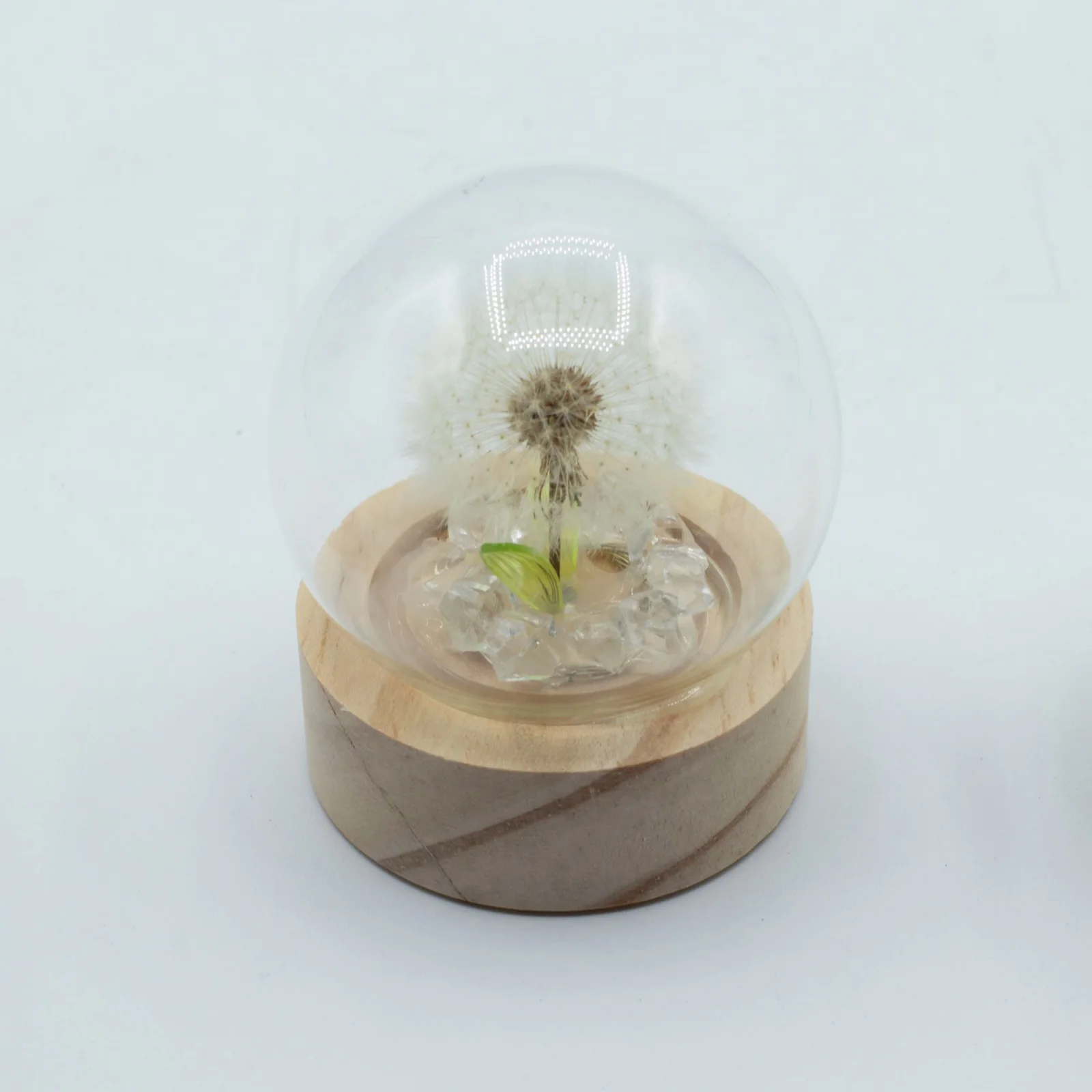 Floral Glow – LED kupola, 1 púpava, na batérie – fotka 3