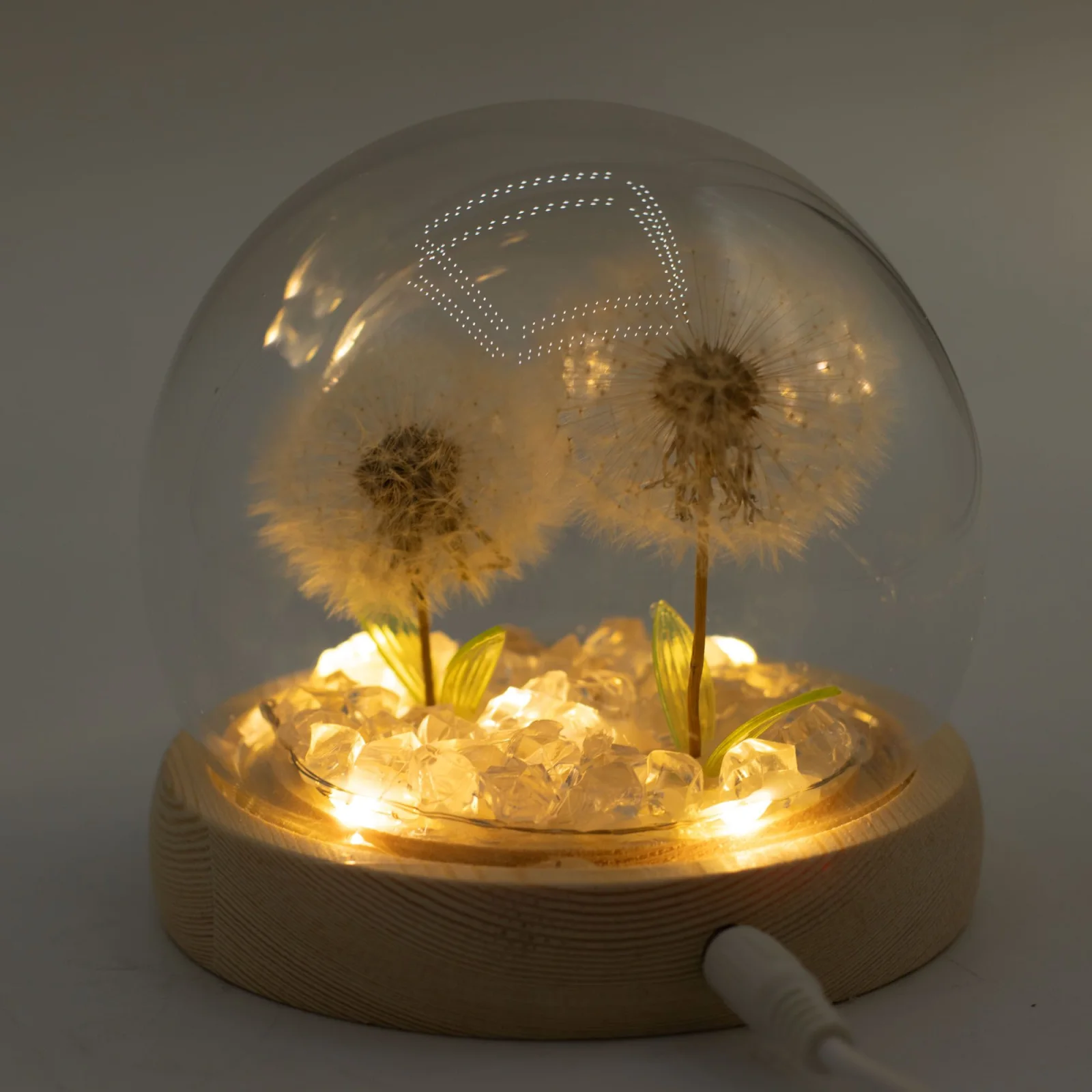 Floral Glow – LED kupola, 2 púpavy, USB – fotka 1