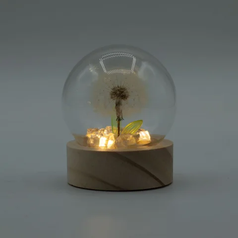 Floral Glow – LED kupola, 1 púpava, na batérie