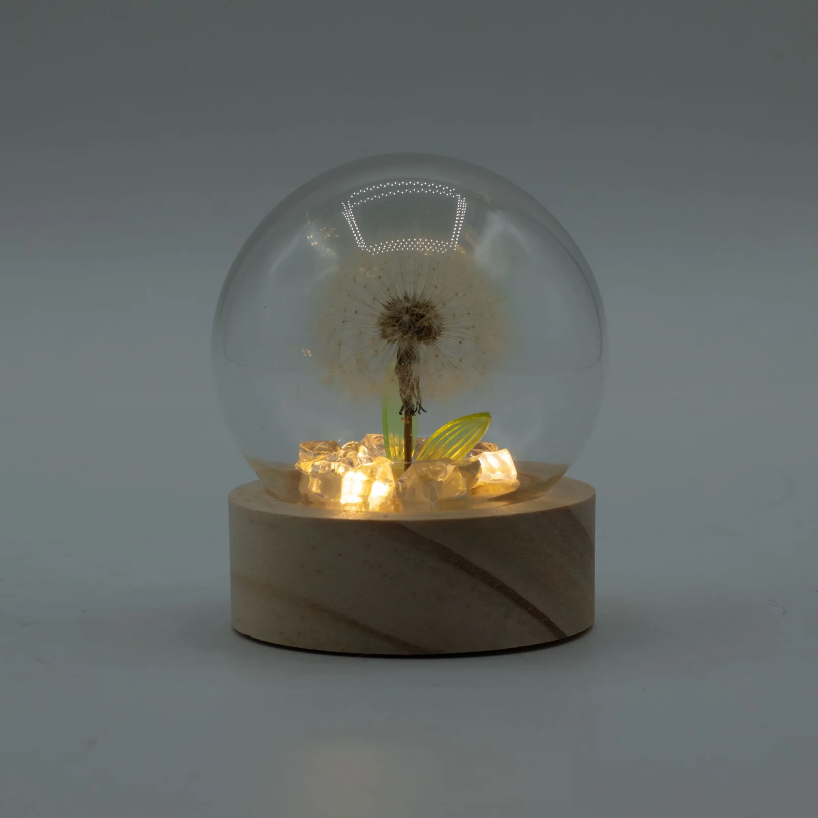 Floral Glow – LED kupola, 1 púpava, na batérie – fotka 1