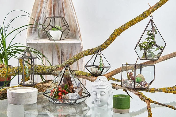 Sklenené terárium – veľká pyramída – fotka 4