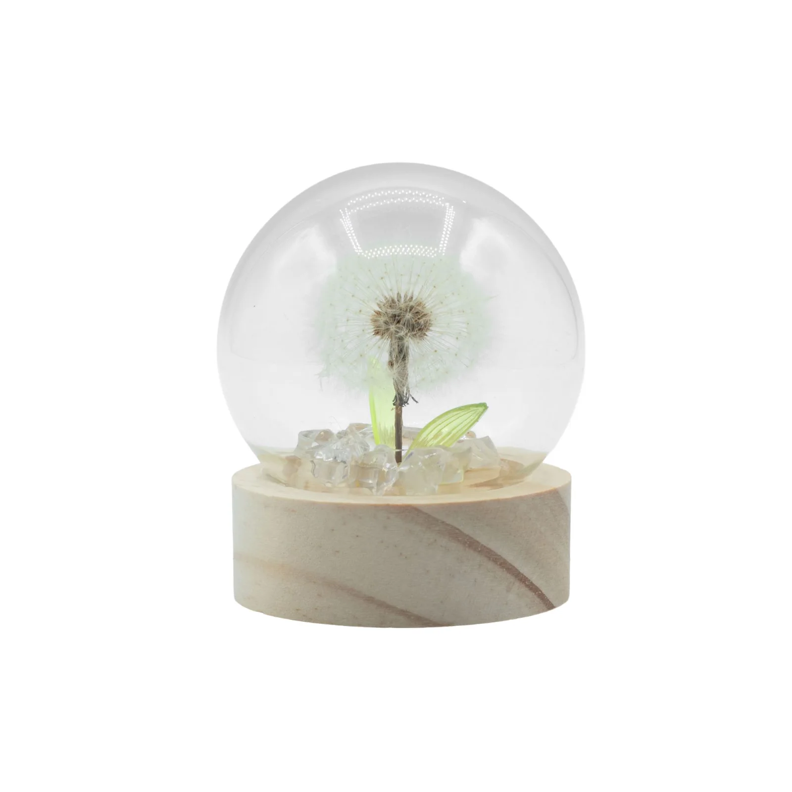 Floral Glow – LED kupola, 1 púpava, na batérie – fotka 2
